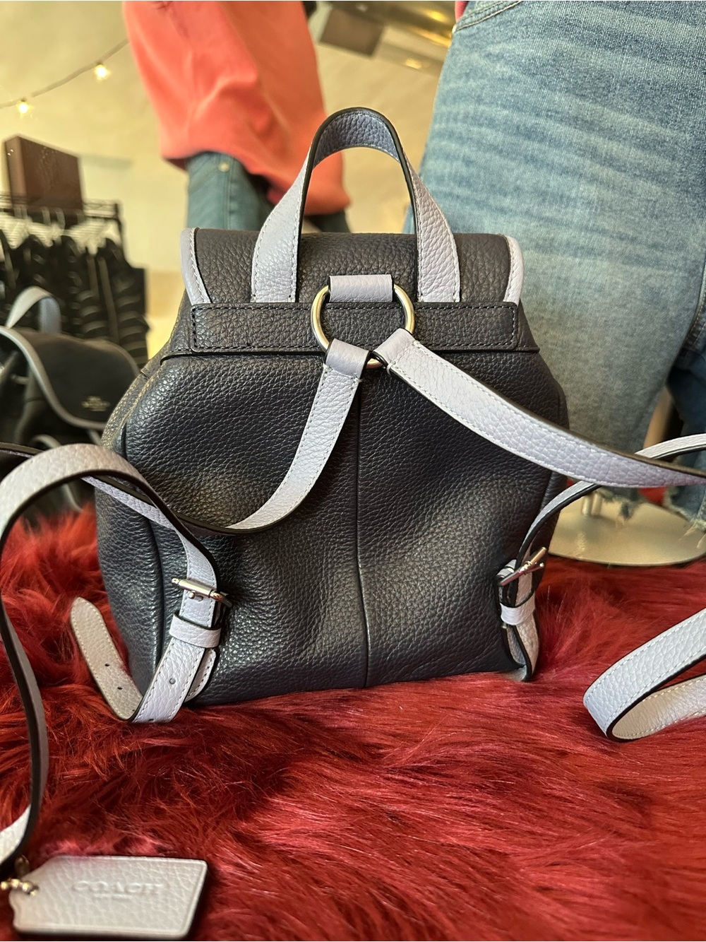 Coach Backpack - Mini - Picture 3 of 7